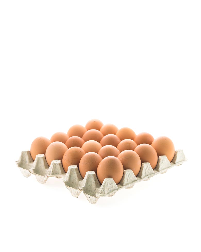 Eggs